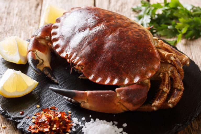 Neanderthals were fine diners? Early humans harvested and roasted tasty crabs, study reveals
