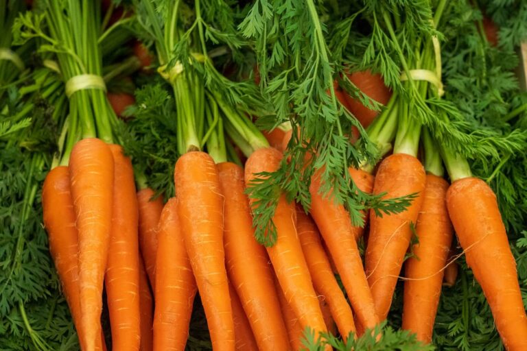 Why are carrots orange? Scientists crack genetic mystery