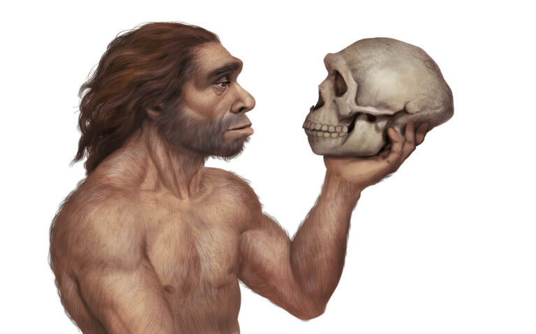 Cavemen recycled their friends? Early humans used skulls for cups and bones for tools