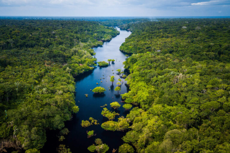 Over 10,000 ancient structures likely hidden in the Amazon rainforest, study reveals