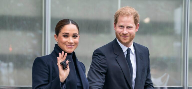 Meghan & Harry Use Private Jet After Attending Climate-Related Conference