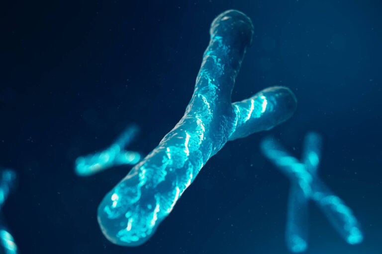 Genetic mystery solved! Scientists complete sequence of elusive Y chromosome
