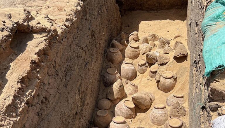 Cheers! 5,000-year-old wine collection discovered in tomb of ancient Egypt’s first female pharaoh