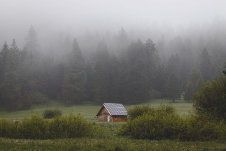 Best Places To Live Off-Grid: Top 5 U.S. States To Live Self-Sufficiently, According To Experts