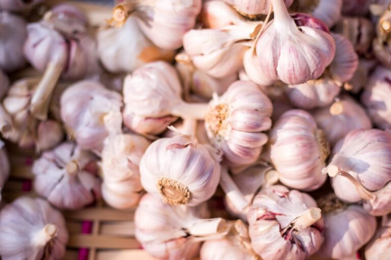 5 Health Benefits Of Garlic – How This Ancient Plant Protects Your Body