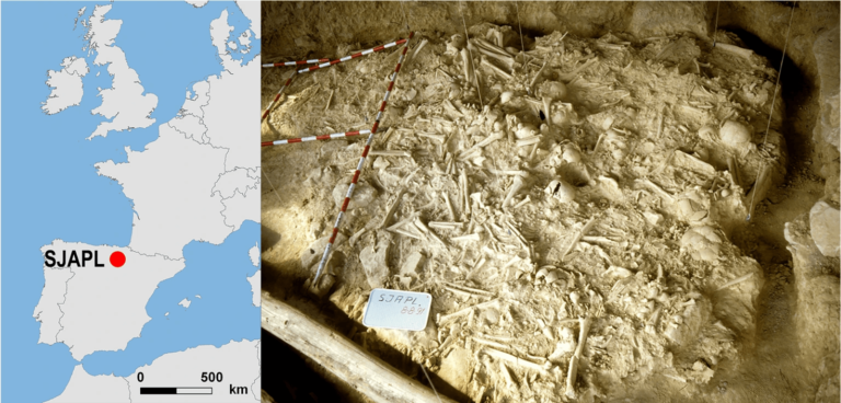 Stone Age warfare likely swept through Europe 1,000 years earlier than previously thought