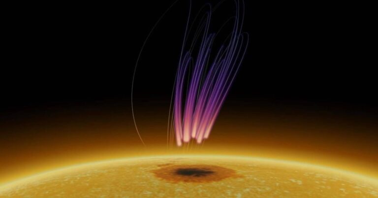 Mysterious aurora-like radio emissions discovered coming from the Sun