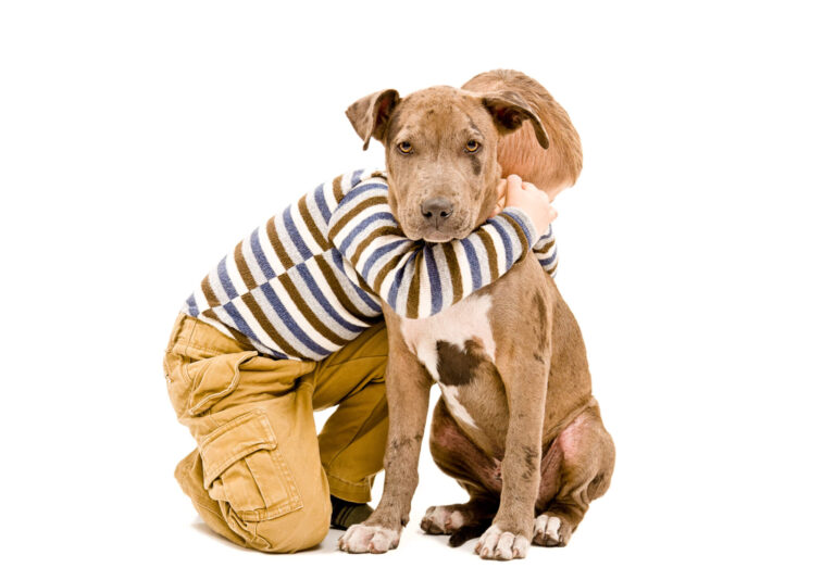 Most Affectionate Dogs: Top 7 Breeds Most Recommended By Experts